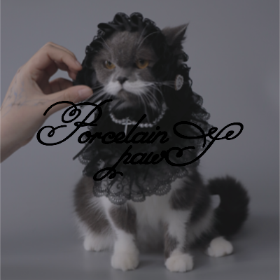 Porcelain Paws