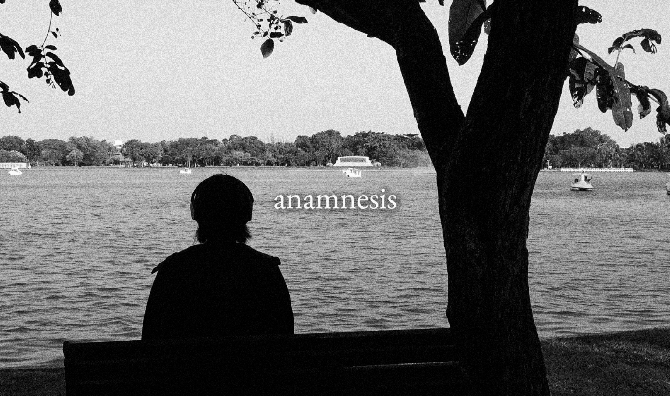 anamnesis