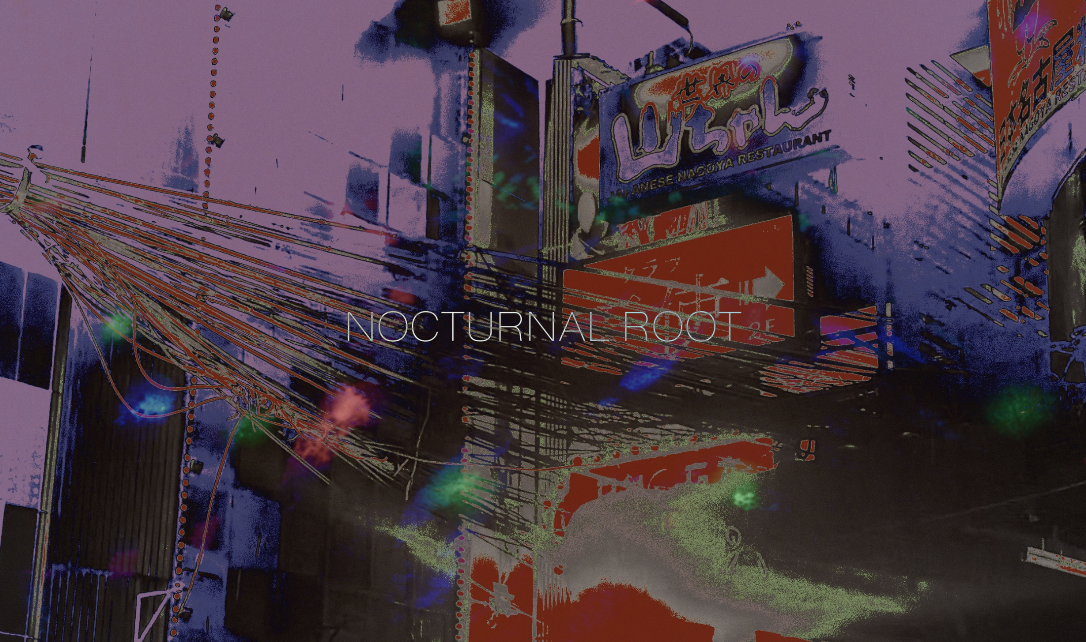 Nocturnal Roots